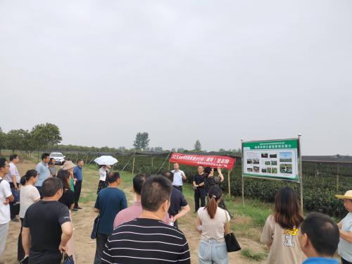 科技培训下地 林业素养提升